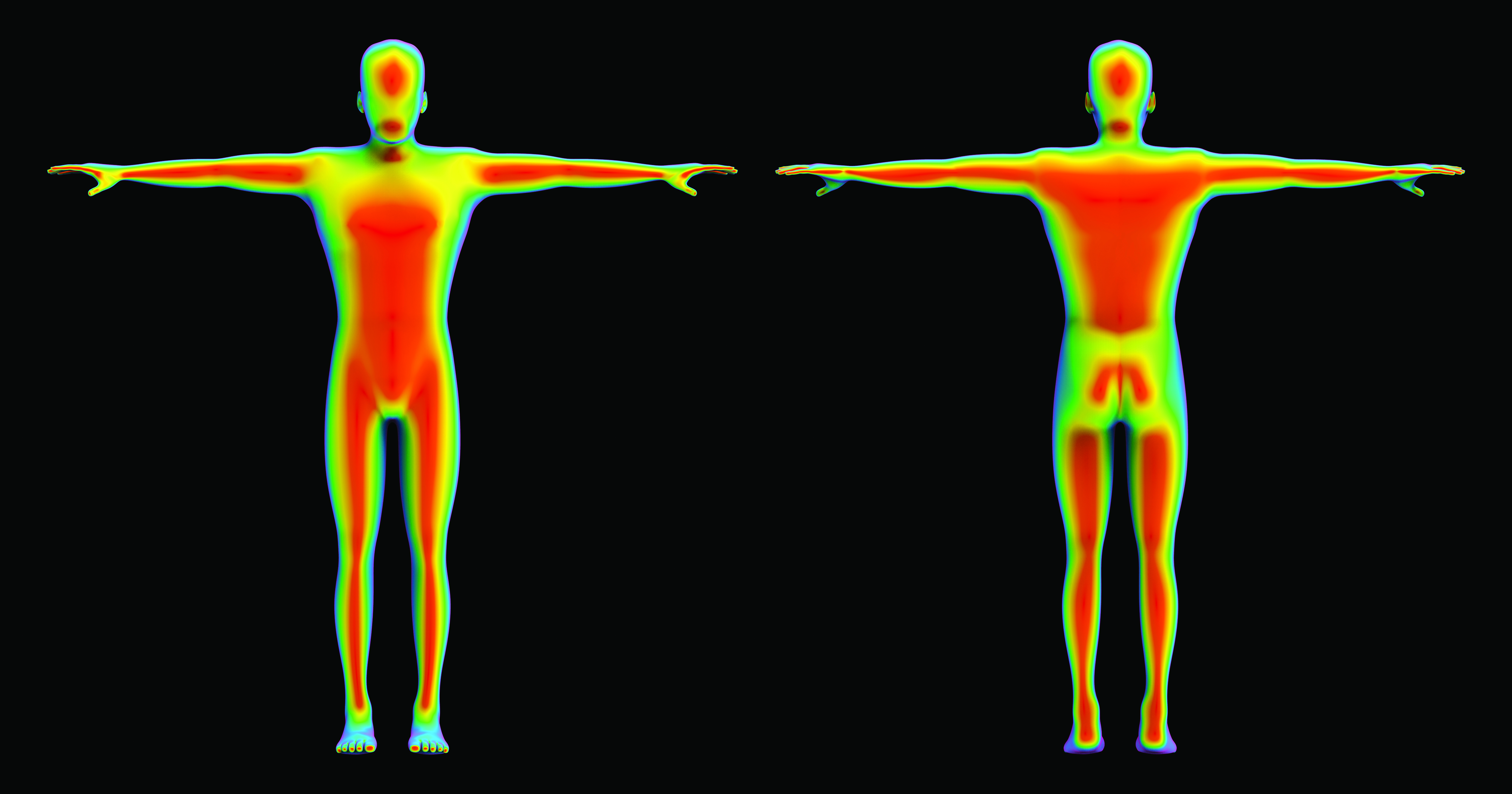 3d rendering. Human front and back body scan by infrared ray str