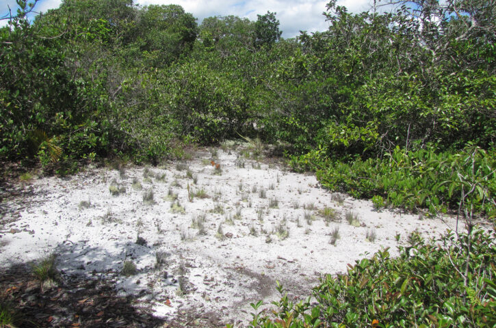725_480 att-87559
