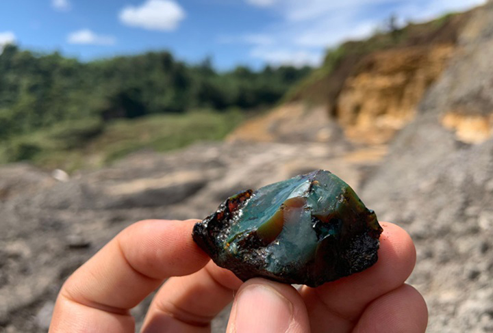 Coluna_Caçadores de fósseis_CH427 - Fig 1