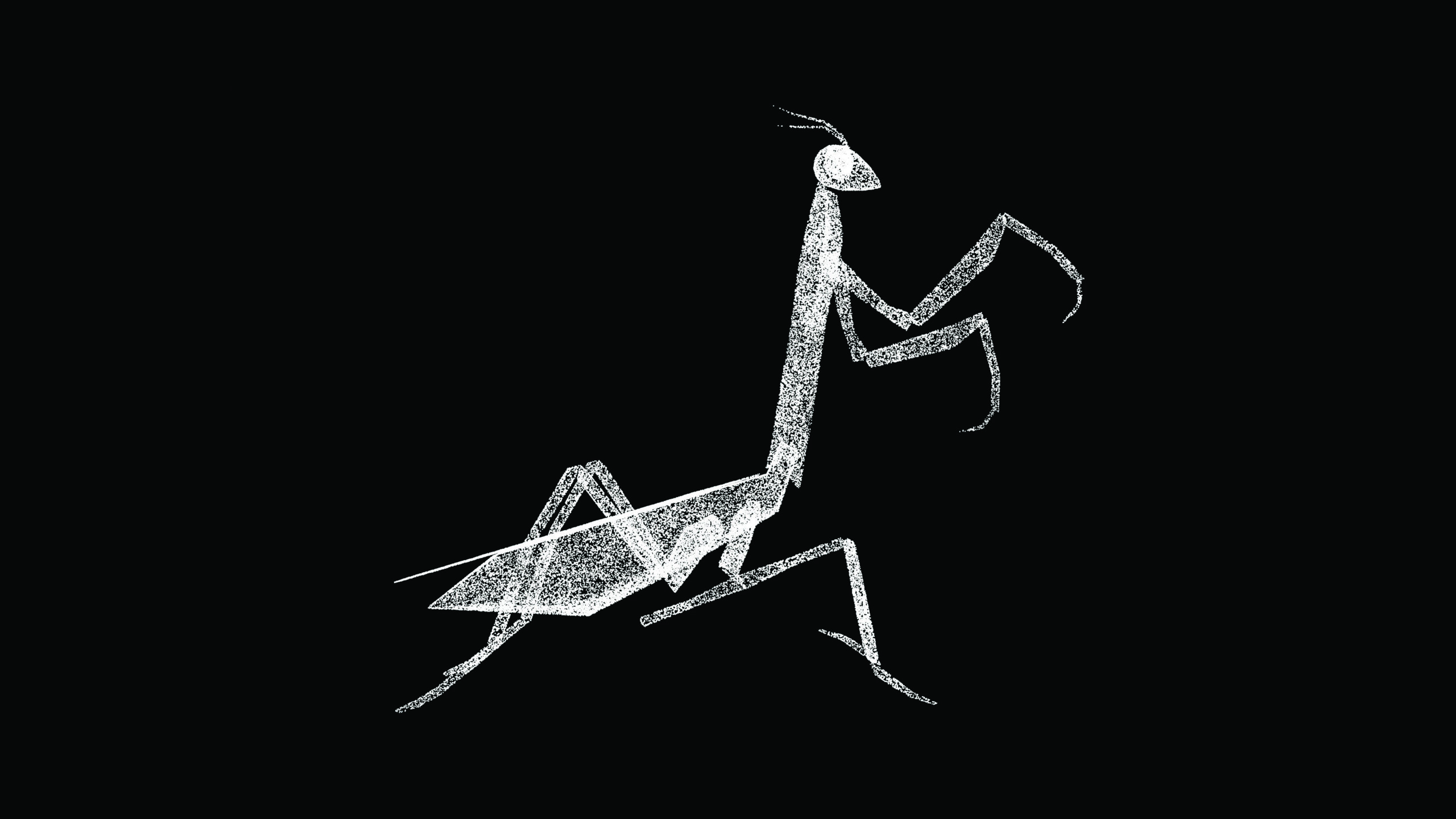 3D mantis on black bg. Wild animal in the nature habitat. Green praying mantis is in danger. Travel and tourism. For title, text, presentation. 3D animation.