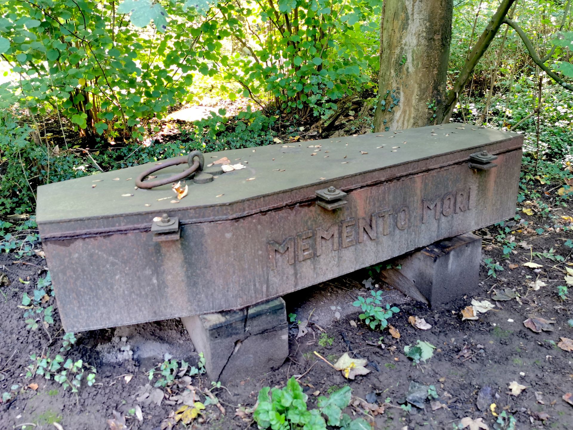 Os elfos e o preço da imortalidade