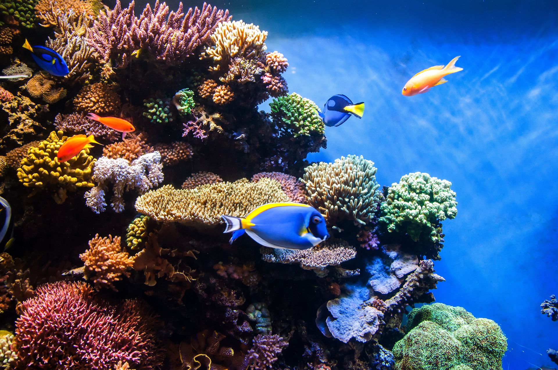 AdobeStock_131183702_opt