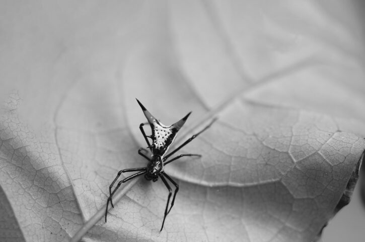 725_480 att-101244